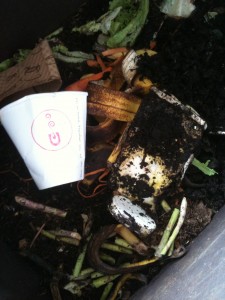 EcoProducts Compostable Cups new next to old
